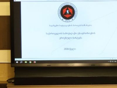 საპატიო სტუმრის  პროგრამის ფარგლები